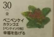 i0