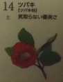 i0