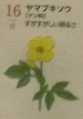 i0