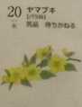 i0