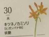 i0