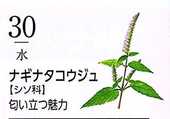 i0