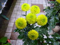 i1