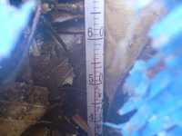 i0
