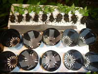 i2