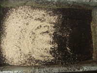 i1