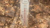 i1