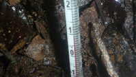 i2