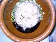 i0