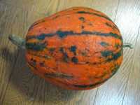 i0