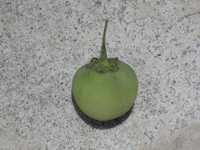 i0