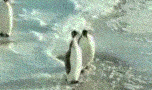 i0