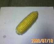 i0