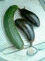 i0