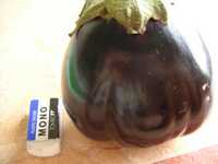 i2