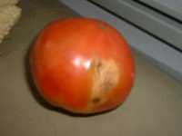 i0