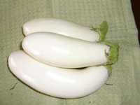 i2