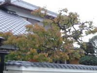 i1