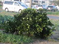 i1