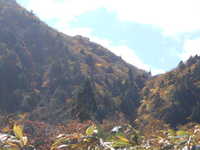 i1