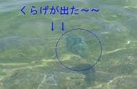 i2