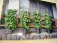 i1