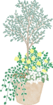i0