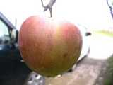 i1