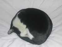 i1