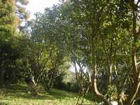 i2
