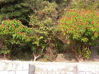 i1