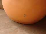 i1