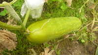 i1