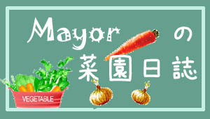 Mayor̍؉