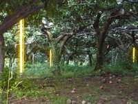 i2