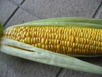 i0