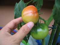 i1