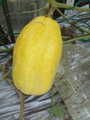 i1
