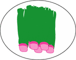 i0