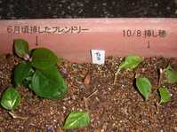 i1