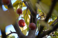 i2