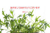 i0