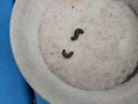 i0