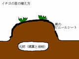 i0