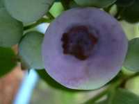 i2