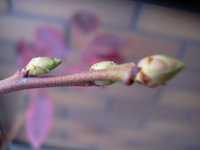 i2