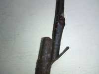 i0