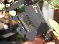 i1