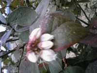 i2