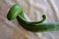 i0
